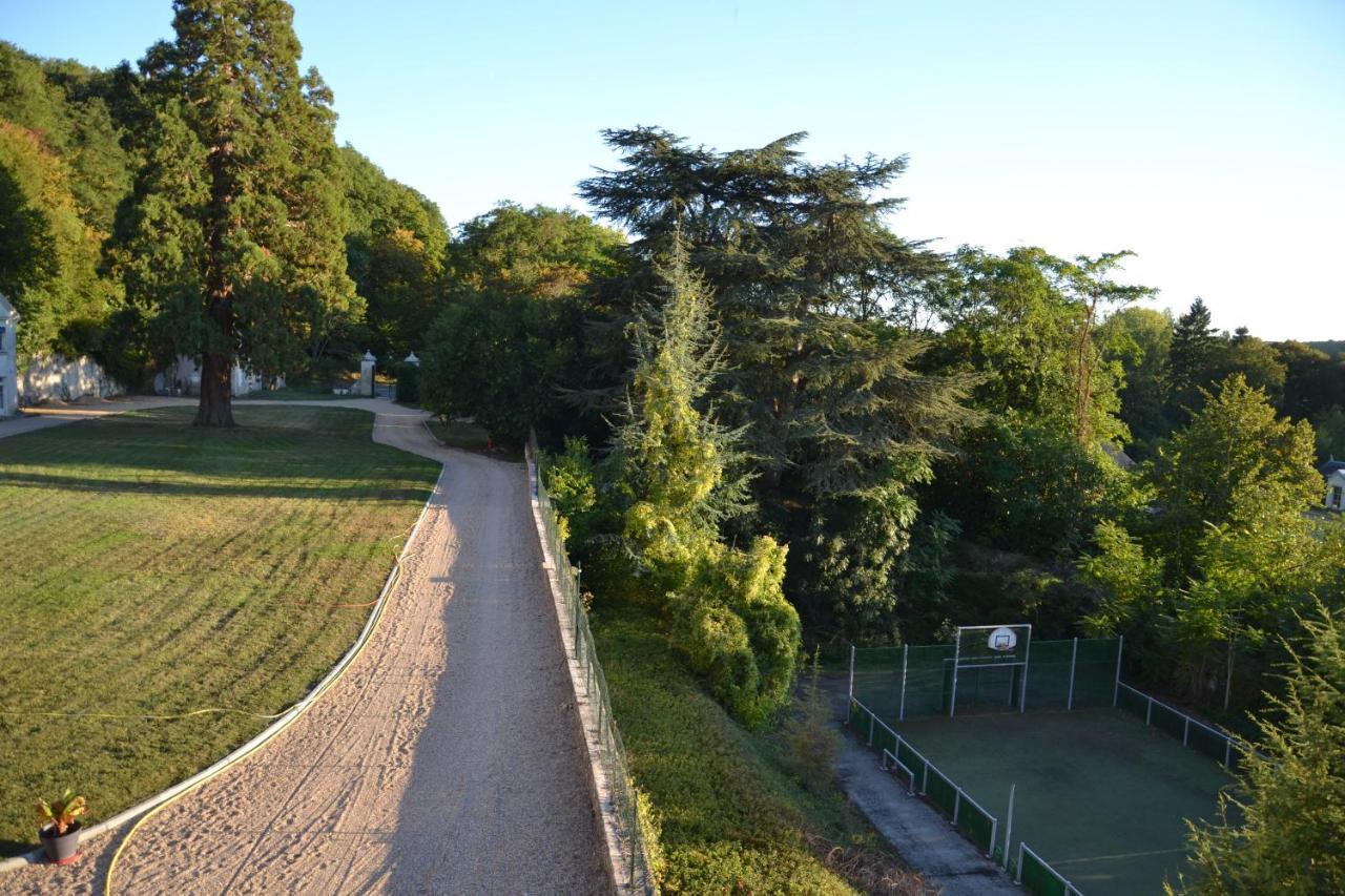 Chateau De Saint Ouen Les Vignes Bagian luar foto